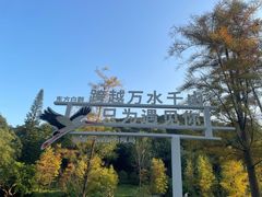 -云溪植物园