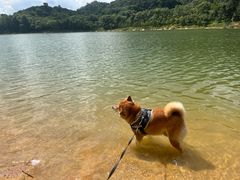 -凤岗南门山森林公园