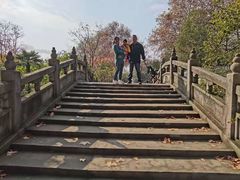 -太子山公园(园东路)