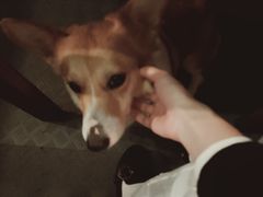 -M-3 PUB(创智天地店)