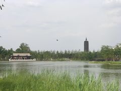 -西海子公园