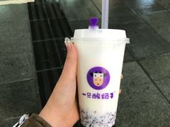 -一只酸奶牛(八一路店)
