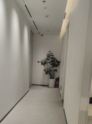 点击看大图 -玛莲朵·海菲秀冰珀科