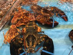 -渔公码头海货全海鲜自助(海滨旅游路店)