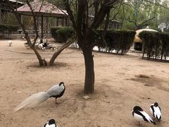 -森林公园(尖草坪区)