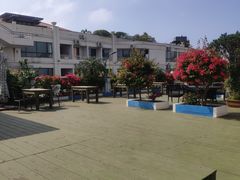 -马大胡子清真西北菜