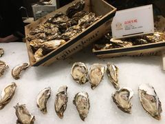 -半岛翡丽海鲜自助餐厅(观风亭店)