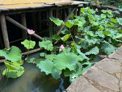 -乌石村