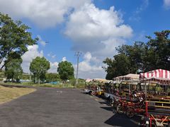 -嘉北郊野公园