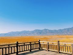 -野鸭湖国家湿地公园