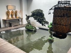 -觀芷隐轩