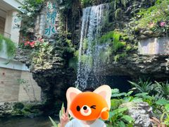 -广州白天鹅宾馆