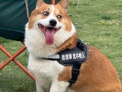 -暮谷MUGO ·团建聚会·露营烧烤·生日派对·共享菜地