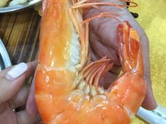 -蚝专家(北滘店)