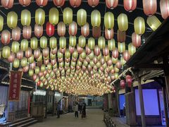 -婺源梦里老家大型山水实景演出