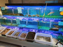 水产区-阿毛饭店(和义路店)