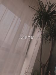 -Momo nail 日系美甲