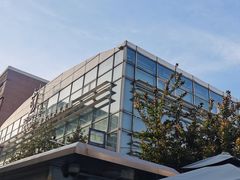 -北京八中游泳馆