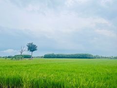 -嘉北郊野公园