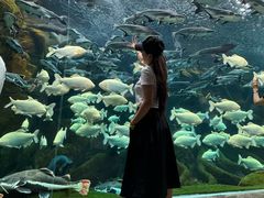 -波塞冬旅游度假区