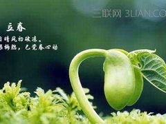 -金子小一一儿童军校幼儿园(德望里分园)