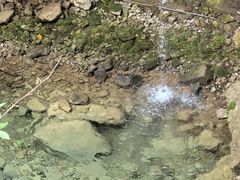 -鹿院坪生态旅游景区