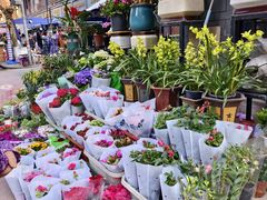 -青石桥花鸟鱼虫市场(叠翠城店)