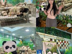 -灵玲国际马戏城