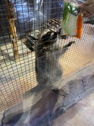 -酷嗒动物文化乐园(cutezoo西溪乐天城店)