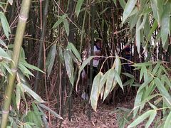 -大连植物园