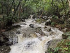 -燕子河大峡谷天坑仙境