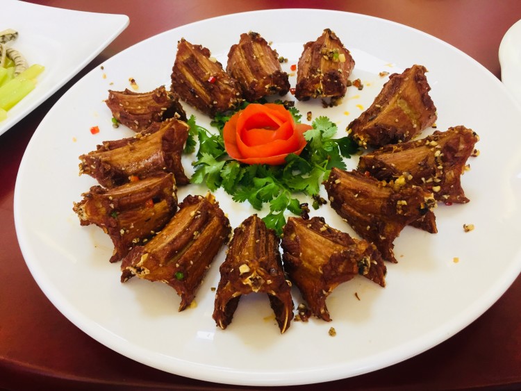 【冲榜快闪9】动物专场②—吃蛇