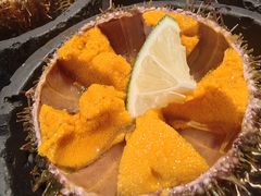 -连鹭海鲜·海肠捞饭·海胆饭(星海店)
