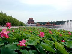 -南戴河国际娱乐中心