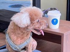-E SPECIAL COFFEE 别样