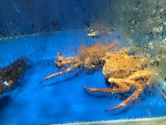 -麦德龙(郑东店)