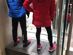 -李宁(大宁国际旗舰店)