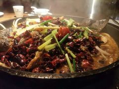 -老板恋上鱼(印象城店)