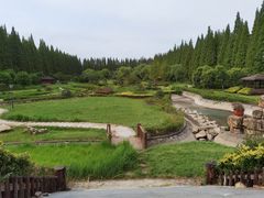 -金岛生态园烧烤露营地