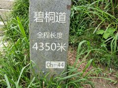 -梧桐山风景名胜区