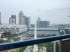 -新加坡瑞士史丹福酒店