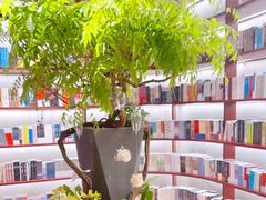 -二酉书店TOYOU BOOKS