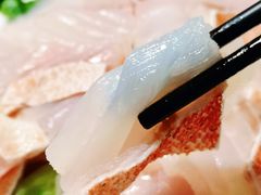 东升鱼-金砂阿洲鱼册店