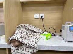 -美联众合爱康动物医院•复杂内科•肿瘤科•牙科•腔镜诊疗中心