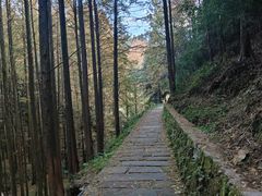 -山王坪喀斯特国家生态公园