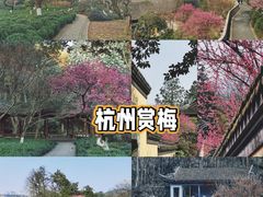 -杭州植物园