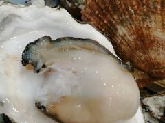 -东海渔村海鲜码头大排档