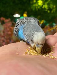 -酷嗒动物文化乐园(cutezoo西溪乐天城店)