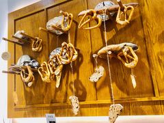 -HAVE A ROOM·有间质果(总店)