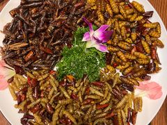 -老滇山寨•云南特色菜•地方菜•民族风情歌舞表演(金碧店)